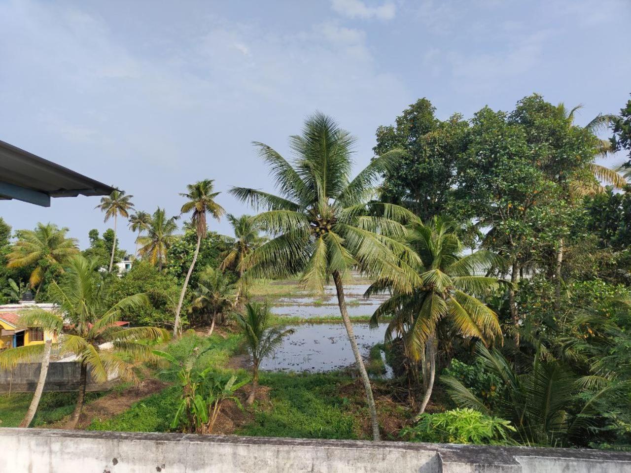 Paddy N Canal Homestay Alappuzha Exterior photo